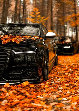 Black Car in Autumn Forest