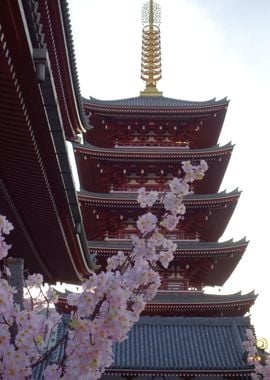 Japanese Pagoda with Cherry Blossoms