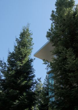 Modern Building with Forest all around