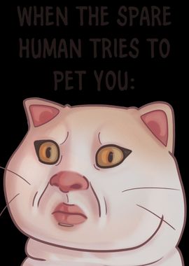 Grumpy Cat Spare Human Meme