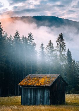 Cabin in the Mist