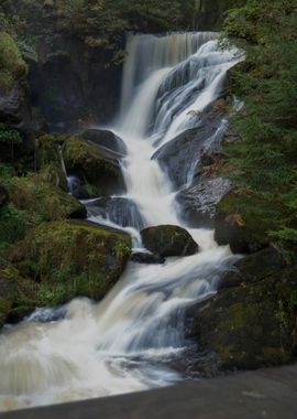 Triberg Waterfall in Forest