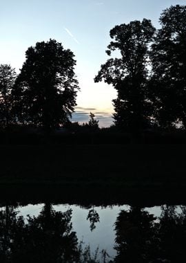 Silhouetted Trees at Sunset