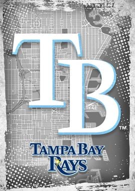 Tampa Bay Rays