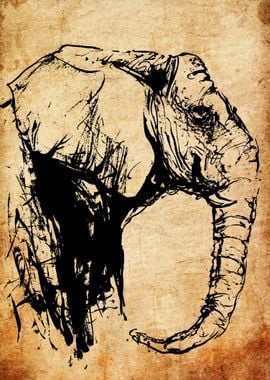 Elephant Sketch on Parchment