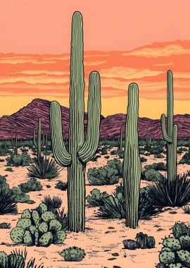 Saguaro National Park Arizona Best Art