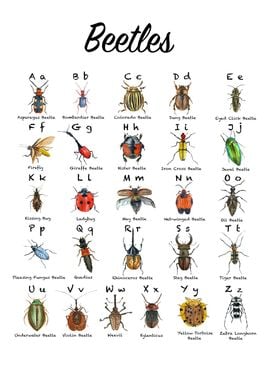 Beetle Alphabet Chart