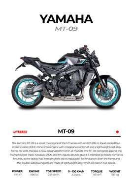 Yamaha MT-09 Motorcycle