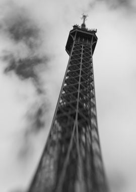 Eiffel Tower View