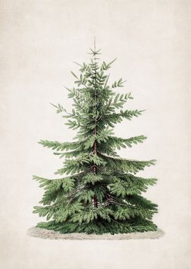 Vintage Christmas Pine Tree