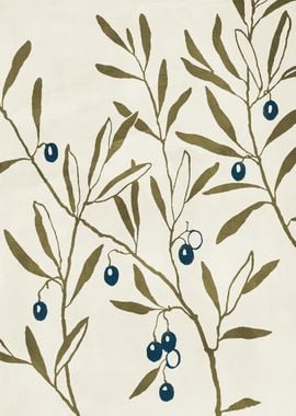 Olive Branch Illustration