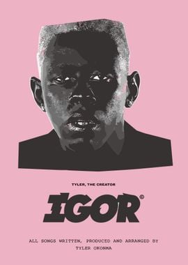 Tyler The Creator IGOR Album Cover