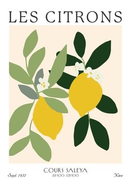 Lemon Fruit Market Kitchen