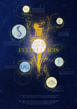 Felix Felicis