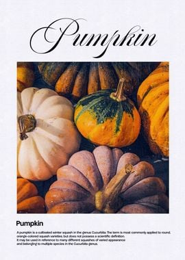 Pumpkin Harvest