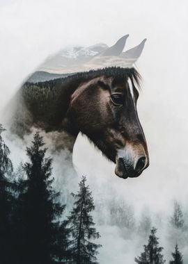 Horse in Foggy Forest