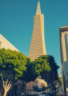 Transamerica Pyramid Skyline