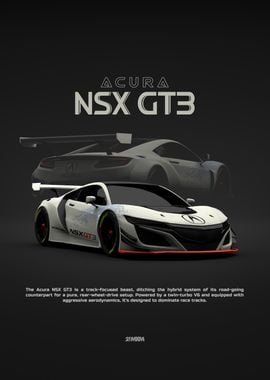 Acura NSX GT3 Race Car