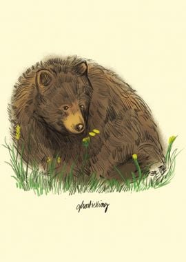 Black Bear Illustration