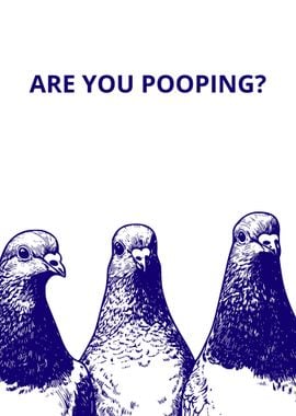 Pigeon Pooping Meme