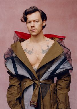 Harry Styles Portrait