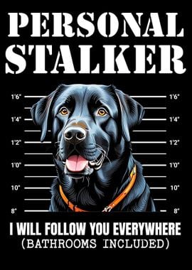 Black Labrador Stalker