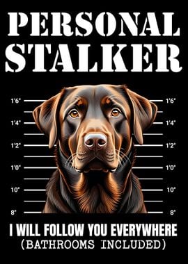 Chocolate Labrador Stalker Mugshot