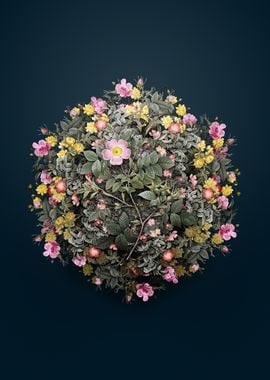 Floral Malmedy Rose Wreath Sphere