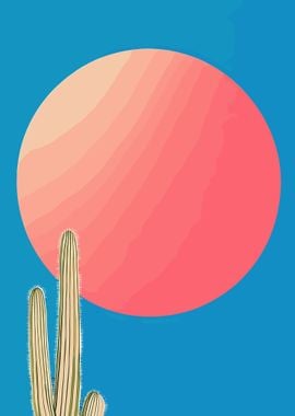 Cactus and Sunset