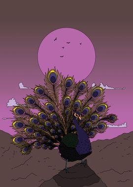 Peacock Under a Pink Moon