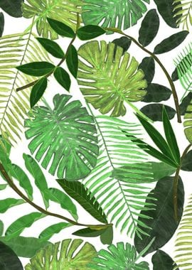 Tropical Leaf Pattern