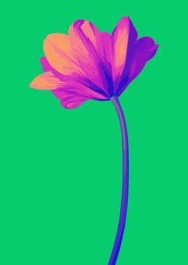 Single Pink Pop Art Flower