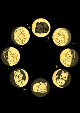 Cat Moon Phases