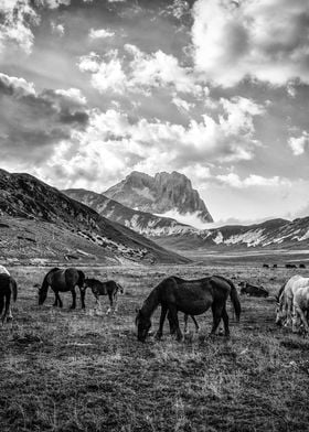 Campo Imperatore, Italy