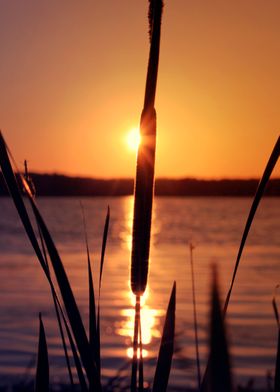 Sunset on Pigeon Lake, Ontario.