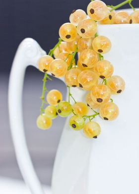 photo with currants and vase