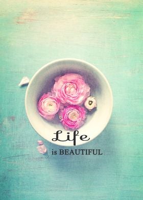 Life is beautiful when you open yourself up to it.