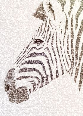 The Intellectual Zebra - typography art