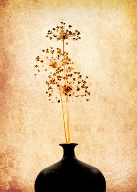 Star onion seeds in a vase