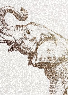 The Wisest Elephant - typography art