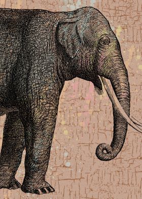 Elephant with crackled cream background
