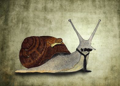 The snail.