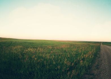 "Country Roads" Rural Road in the prairies of South Dak ... 