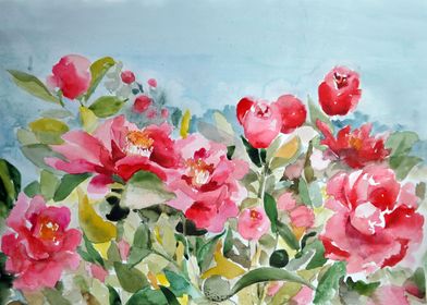 garden painted with watercolors. Wild red roses.