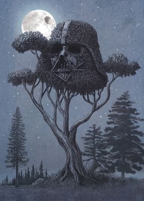 Dark Side of the Forest