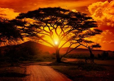 Sunset in Africa