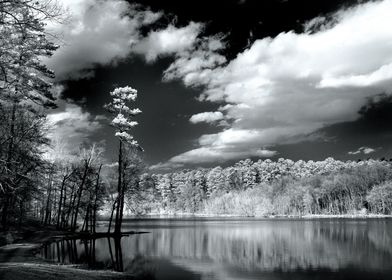 This was taken with an infrared on Paul M Grist lake in ... 