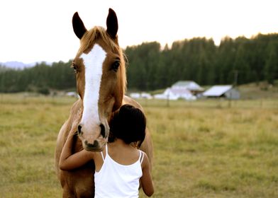Hugging Baron - Young girl embraces horse at a rescue i ... 