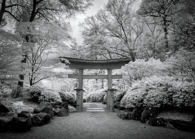 Taken with an Infrared Camera. The entrance to a local  ... 