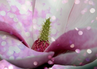 magnolia bloom with glitter